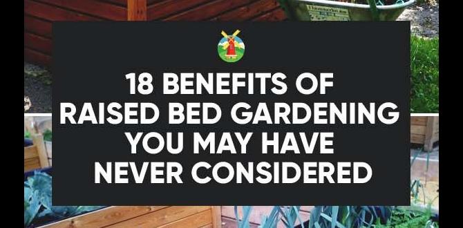 Benefits of raised bed gardening ideas for raised bed gardens Benefits of raised bed gardening ideas for raised bed gardens