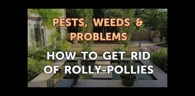 Benefits of rolly pollies for gardens are rolly pollies good for gardens