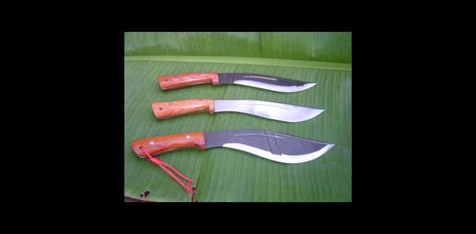 Benefits of using a bolo in gardening bolo for gardening Benefits of using a bolo in gardening bolo for gardening