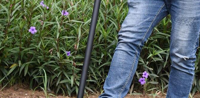 Benefits of using a claw tool in gardening claw tool for gardening Benefits of using a claw tool in gardening claw tool for gardening
