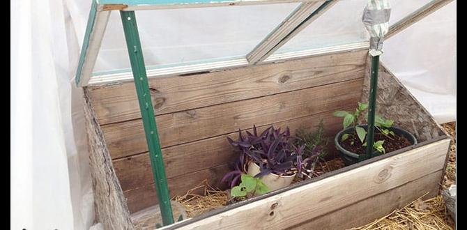 Benefits of using a cold frame cold frame for gardening Benefits of using a cold frame cold frame for gardening
