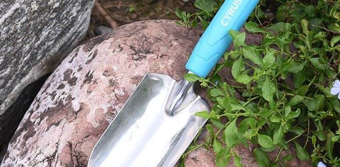 Benefits of using a hand trowel for gardening hand trowel for gardening Benefits of using a hand trowel for gardening hand trowel for gardening