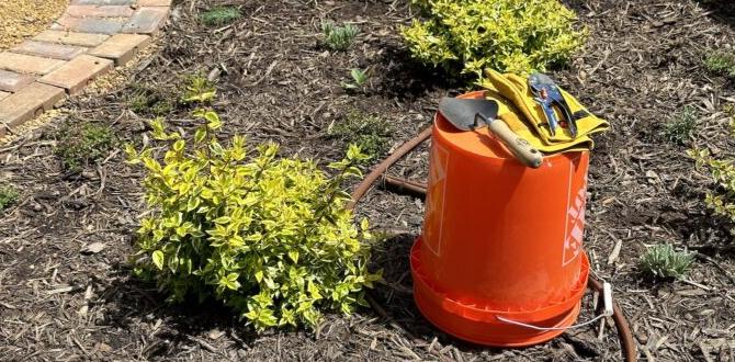 Benefits of using a kneeling stool in gardening kneeling stool for gardening Benefits of using a kneeling stool in gardening kneeling stool for gardening