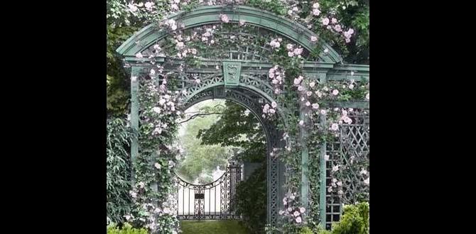 Benefits of using archways in gardens archways for gardens