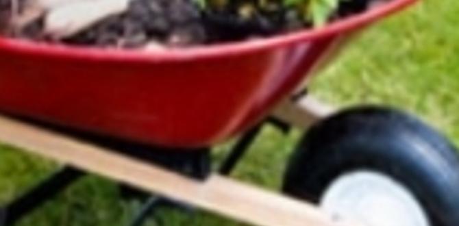 Benefits of using arm covers arm covers for gardening Benefits of using arm covers arm covers for gardening