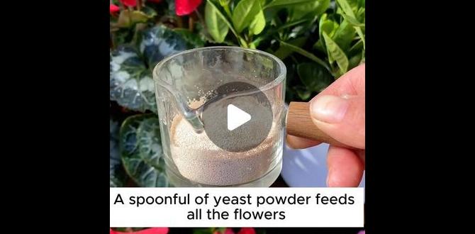 Benefits of using baking powder in gardening baking powder for gardening Benefits of using baking powder in gardening baking powder for gardening
