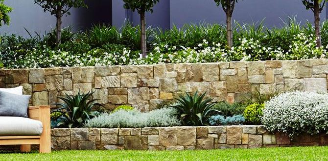 Benefits of using black edging stones black edging stones for gardens Benefits of using black edging stones black edging stones for gardens