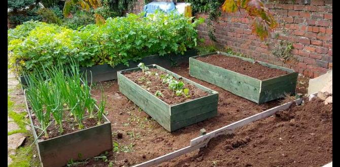 Benefits of using black sheet in gardening black sheet for gardening Benefits of using black sheet in gardening black sheet for gardening