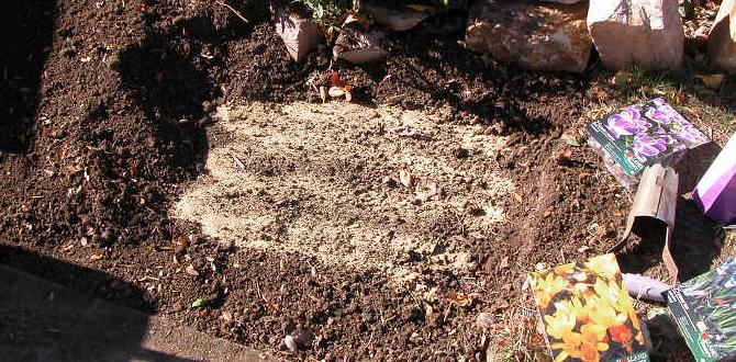 Benefits of using bone meal in gardening bone meal for gardening Benefits of using bone meal in gardening bone meal for gardening