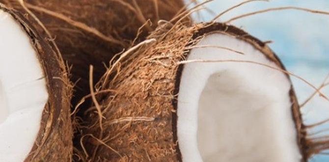 Benefits of using coconut bricks in gardening coconut bricks for gardening