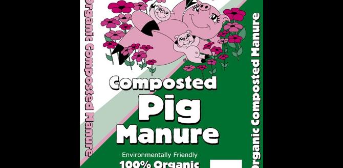 Benefits of using composted manure in vegetable gardens is composted manure safe for vegetable gardens Benefits of using composted manure in vegetable gardens is composted manure safe for vegetable gardens