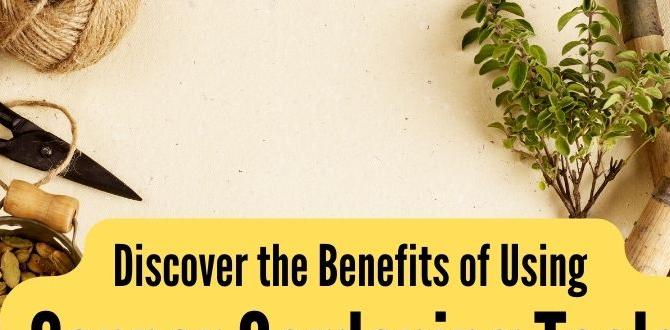 Benefits of using copper sulfate in gardening copper sulfate for gardening Benefits of using copper sulfate in gardening copper sulfate for gardening