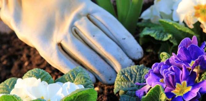 Benefits of using diatomaceous earth in gardens diatomaceous earth for gardens