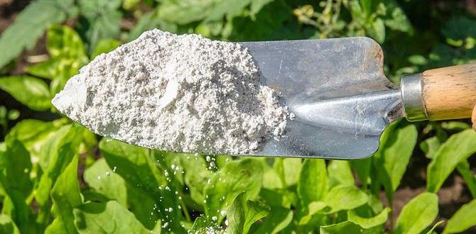 Benefits of using diatomaceous earth in gardens diatomaceous earth safe for vegetable gardens Benefits of using diatomaceous earth in gardens diatomaceous earth safe for vegetable gardens