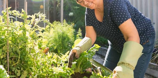 Benefits of using drip irrigation kits in gardens drip irrigation kits for gardens Benefits of using drip irrigation kits in gardens drip irrigation kits for gardens