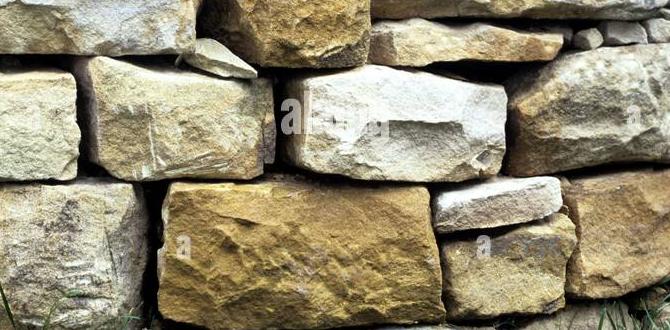 Benefits of using dry stone walls in gardens dry stone walls for gardens Benefits of using dry stone walls in gardens dry stone walls for gardens