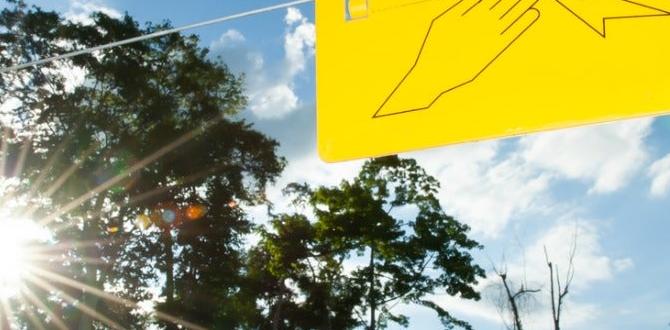 Benefits of using electric fencing in gardens electric fencing for gardens Benefits of using electric fencing in gardens electric fencing for gardens