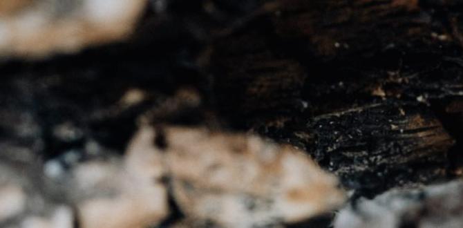 Benefits of using fire pit ash in gardens is fire pit ash good for gardens