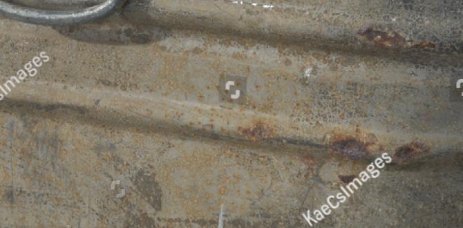 Benefits of using galvanized tubs for gardening are galvanized tubs safe for gardening Benefits of using galvanized tubs for gardening are galvanized tubs safe for gardening