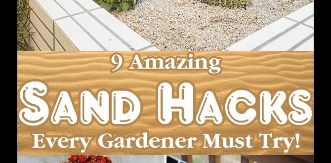 Benefits of using green sand in gardens green sand for gardens Benefits of using green sand in gardens green sand for gardens
