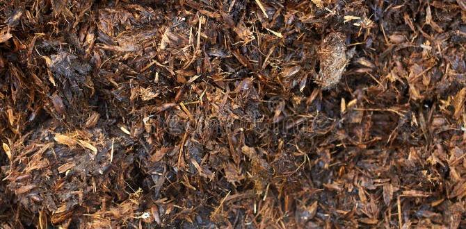 Benefits of using horse manure is horse manure good for vegetable gardens Benefits of using horse manure is horse manure good for vegetable gardens