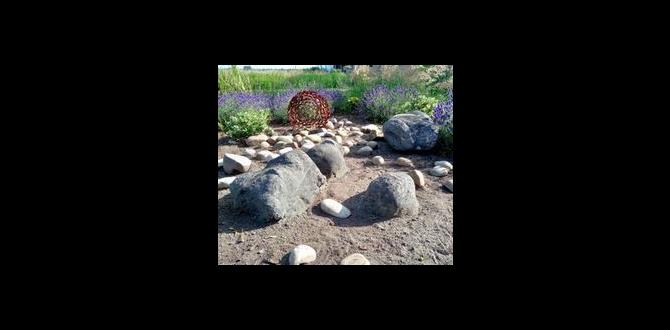 Benefits of using imitation rocks imitation rocks for gardens Benefits of using imitation rocks imitation rocks for gardens