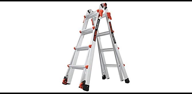 Benefits of using ladders in gardening ladders for gardening