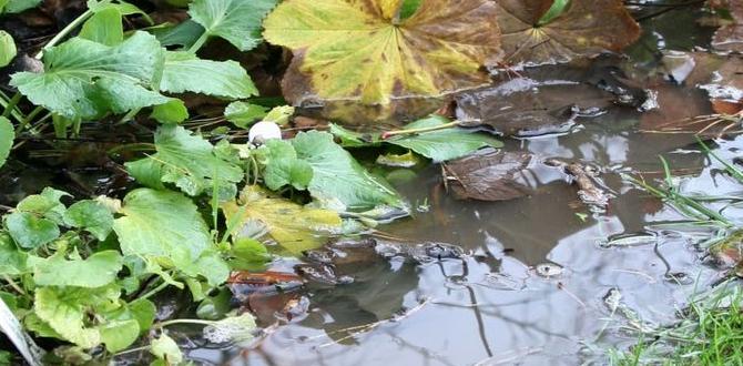 Benefits of using log borders in gardens log borders for gardens