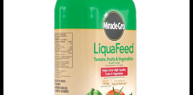 Benefits of using miraclegro in vegetable gardens miracle gro for vegetable gardens Benefits of using miraclegro in vegetable gardens miracle gro for vegetable gardens