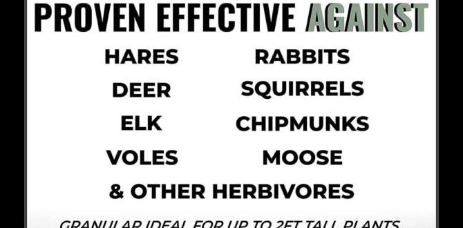 Benefits of using natural repellents natural animal repellent for gardens