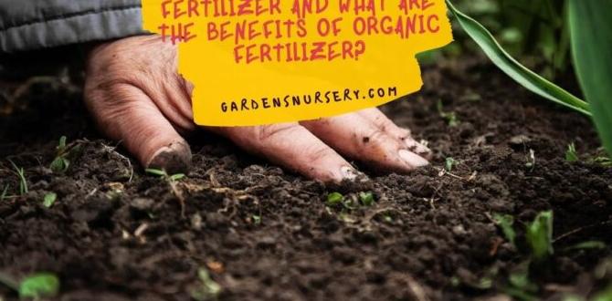 Benefits of using organic fertilizer organic fertilizer for gardens Benefits of using organic fertilizer organic fertilizer for gardens