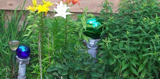 Benefits of using ornamental rocks ornamental rocks for gardens Benefits of using ornamental rocks ornamental rocks for gardens