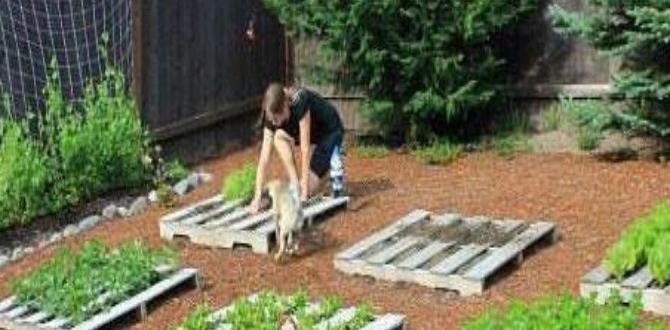 Benefits of using pallets in your garden pallets for gardening