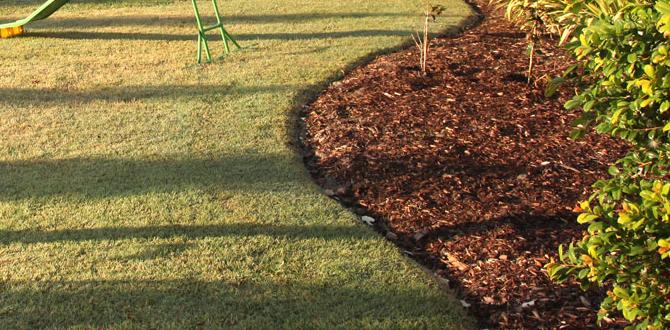 Benefits of using pine mulch in gardens is pine mulch good for gardens