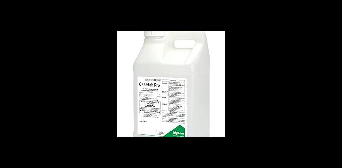 Benefits of using post emergent herbicides in vegetable gardens post emergent herbicide for vegetable gardens Benefits of using post emergent herbicides in vegetable gardens post emergent herbicide for vegetable gardens