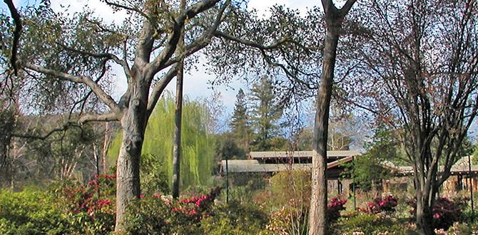 Benefits of using promotional codes at descanso gardens promotional code for descanso gardens