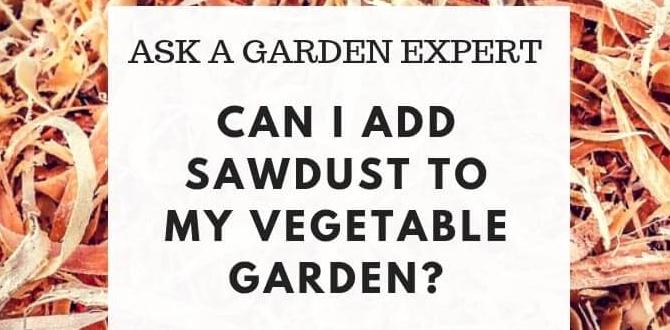 Benefits of using sawdust in gardens is sawdust good for gardens
