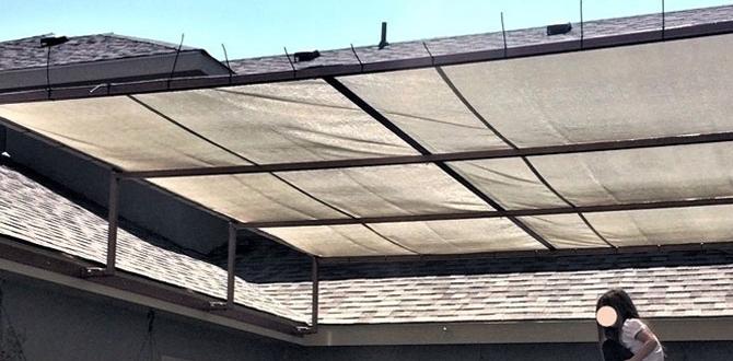 Benefits of using shade tarps in gardens shade tarps for gardens Benefits of using shade tarps in gardens shade tarps for gardens