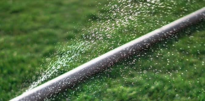 Benefits of using soaker hoses in gardens are soaker hoses good for gardens Benefits of using soaker hoses in gardens are soaker hoses good for gardens