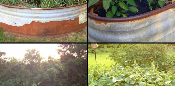 Benefits of using stock tanks in gardening stock tanks for gardening