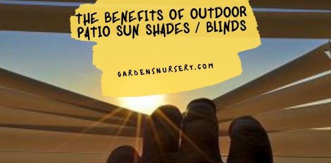 Benefits of using sunscreens in gardens sun screens for gardens Benefits of using sunscreens in gardens sun screens for gardens