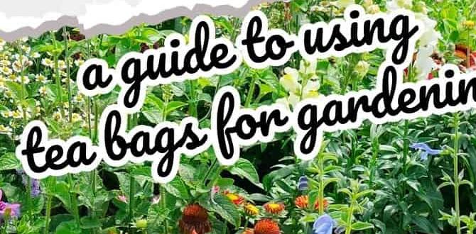 Benefits of using tea bags for plants tea bags for gardening Benefits of using tea bags for plants tea bags for gardening