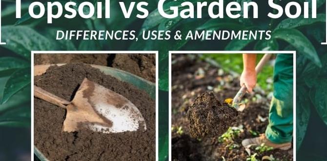 Benefits of using top soil in gardening is top soil good for gardening