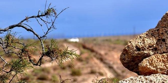 Benefits of using volcanic soil in gardening volcanic soil for gardening