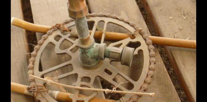 Benefits of using watering devices watering devices for gardens Benefits of using watering devices watering devices for gardens