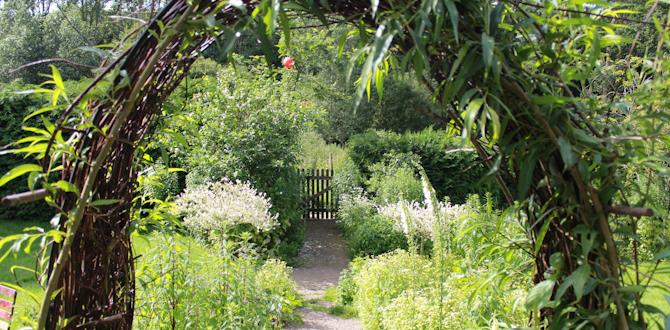 Benefits of using willow in garden design willow structures for gardens Benefits of using willow in garden design willow structures for gardens