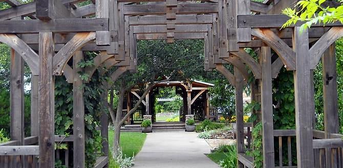 Benefits of using wooden trellises wooden trellises for gardens Benefits of using wooden trellises wooden trellises for gardens