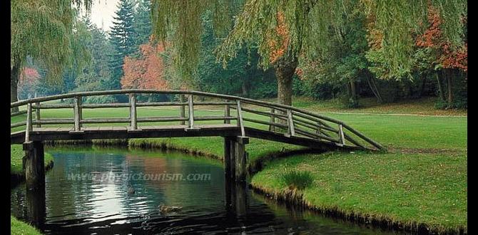 Benefits of wooden bridges in gardens wooden bridges for gardens Benefits of wooden bridges in gardens wooden bridges for gardens