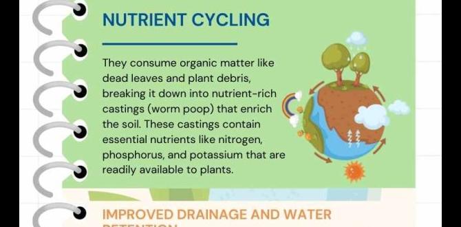 Benefits of worms in the garden are worms good for vegetable gardens Benefits of worms in the garden are worms good for vegetable gardens