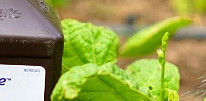 Beneﬁts of using hydrogen peroxide in gardening hydrogen peroxide for gardening
